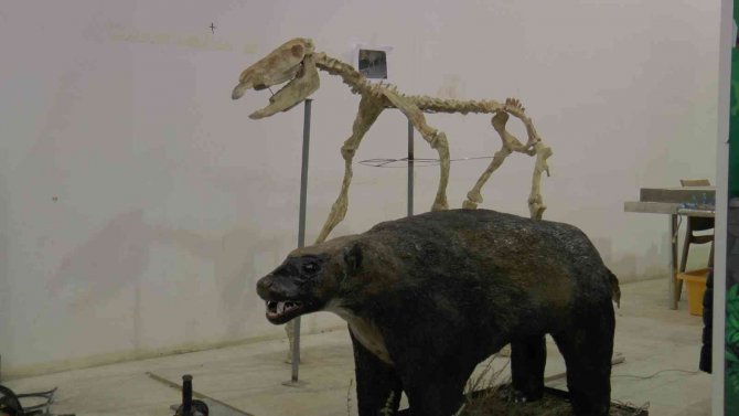 7,5 Milyon Yıllık Tarihi Ayaklandırdılar