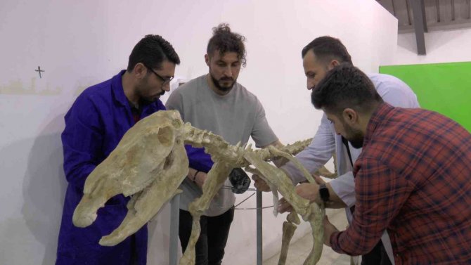 7,5 Milyon Yıllık Tarihi Ayaklandırdılar