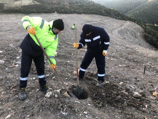 Kocaeli Büyükşehir Bir Yılda 124 Bin 779 Fidanı Toprakla Buluşturdu