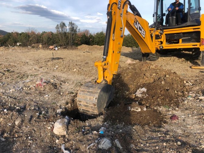 Kocaeli Büyükşehir Bir Yılda 124 Bin 779 Fidanı Toprakla Buluşturdu