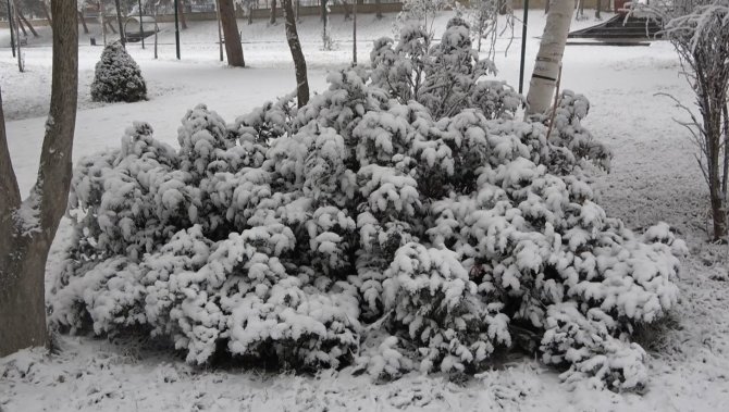 Kar Değil Kırağı Yağdı