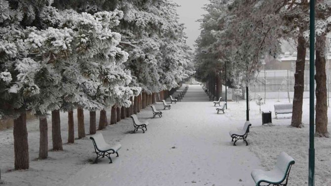 Kar Değil Kırağı Yağdı