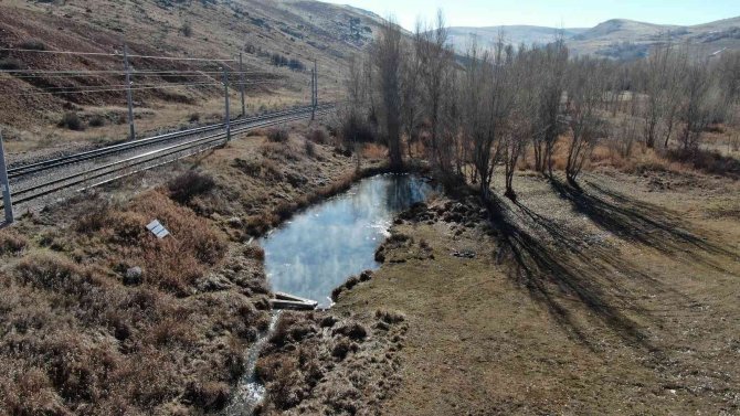 Dünyaca Ünlü Doktor Balıklar Yok Olma Tehdidi Altında