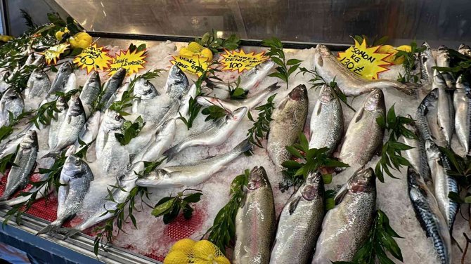 Fırtına Ve Sıcaklık Balık Fiyatlarına Vurdu