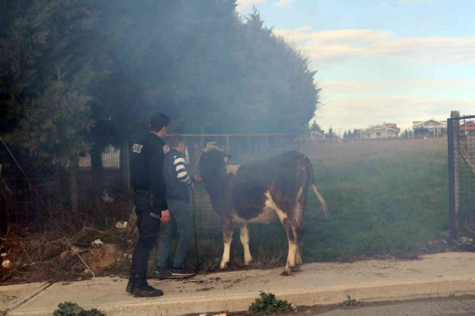 Tekirdağ Korkutan Yangın