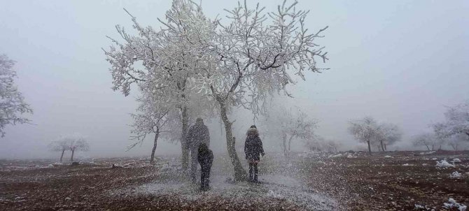 Bitlis’te Kırağı Tutan Ağaçlar Kartpostallık Görüntü Oluşturdu