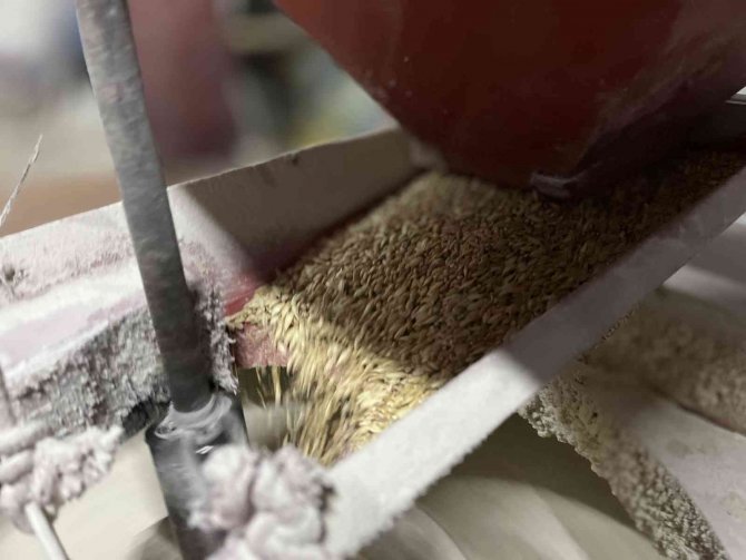 12 Bin Yıllık Siyez Taş Değirmende Una Dönüştürülüyor, Ülkenin Dört Bir Yanında Damakları Tatlandırıyor