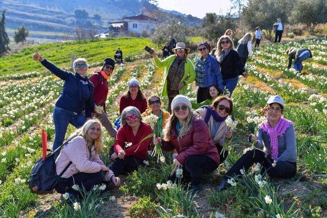 Nergis Şenliği Dolu Dolu Geçti