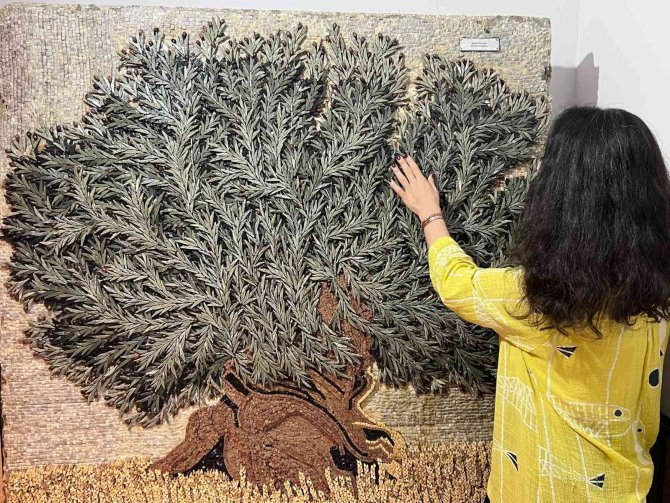 Bir Ton Ağırlığında, 500 Bin Taşla 3 Boyutlu Zeytin Ağacı Mozaiği Yaptı