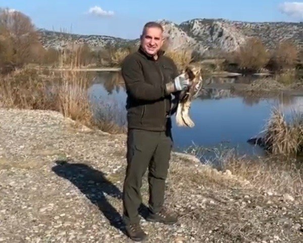 Osmaniye’de Tedavisi Tamamlanan Şahin Doğaya Salındı