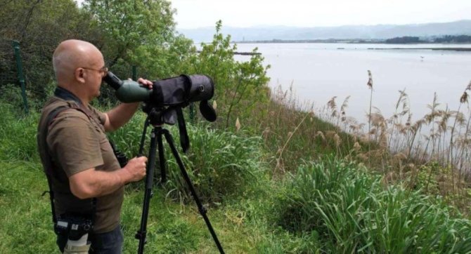 Koruma Altındaki Kuşlar Hersek Lagünü’nde