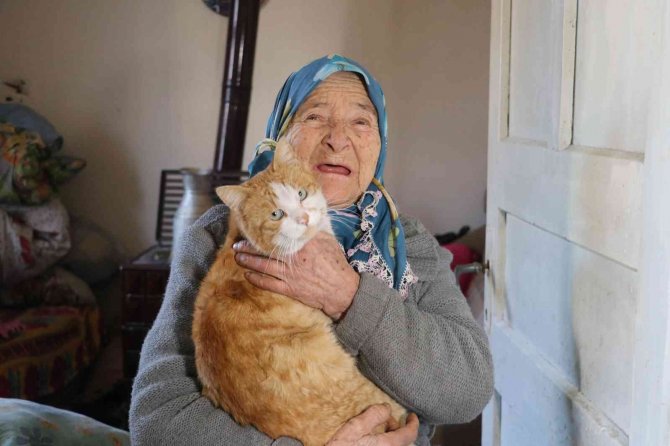 Kedilerin Ninesi Fahriye Nine
