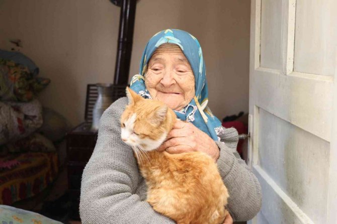 Kedilerin Ninesi Fahriye Nine