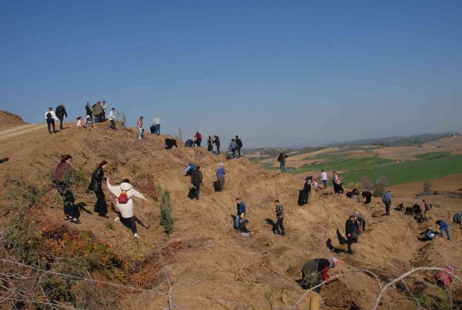 Kazada Kaybettikleri Arkadaşları Anısına Hatıra Ormanı Oluşturdular