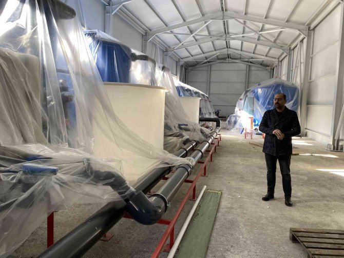 Bu Projelerle Tosya’nın Çehresi Değişiyor: İ̇lçeye 200 Milyon Tl’lik Yatırım