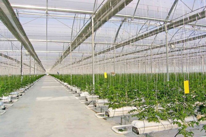 Modern Seralara 7 Milyon Liraya Kadar Hibe Desteği