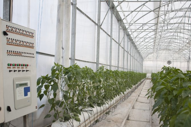 Modern Seralara 7 Milyon Liraya Kadar Hibe Desteği