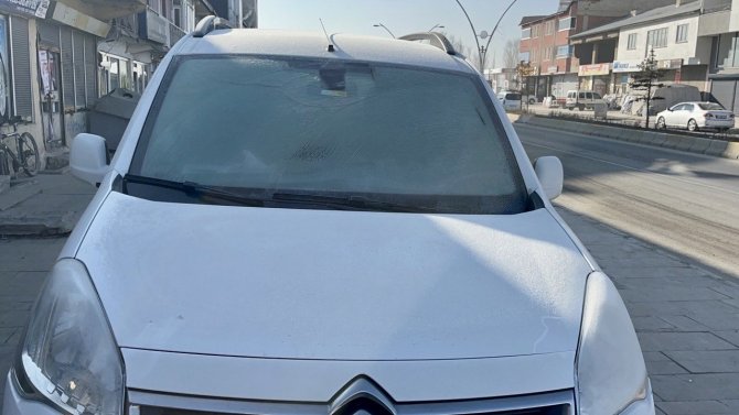 Ağrı’da Don Etkili Oldu