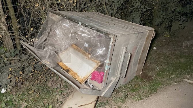 Köpeğe Çarpmamak İçin Manevra Yaptı, Çöp Kutusuna Çarptı: 4 Yaralı