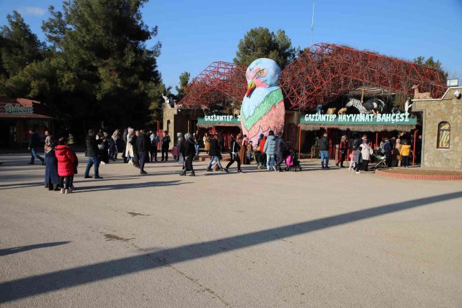 Karneyi Alan Hayvanat Bahçesine Koştu