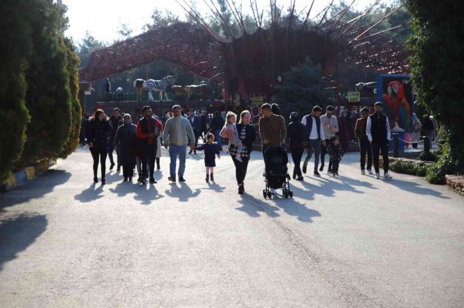 Karneyi Alan Hayvanat Bahçesine Koştu