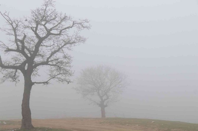 Şehre Sis Çöktü, Yüksek Kesimlerde Bulunan Evler Görünmez Hale Geldi