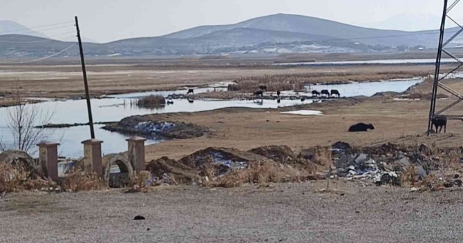 Kış Mevsiminde Eksi 46.4 Dereceyi Bulan Çaldıran’da Bahar