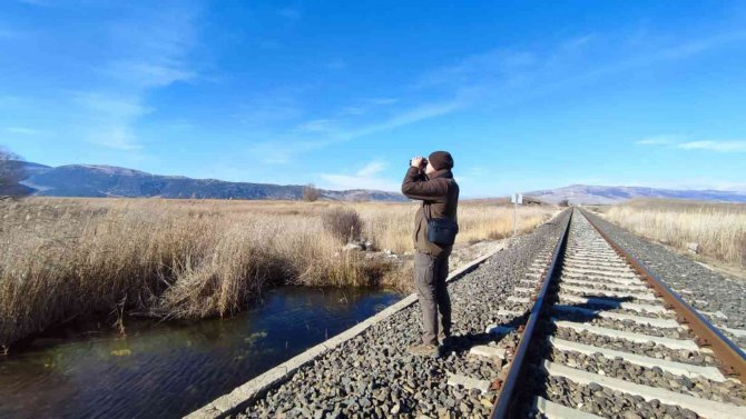 Afyonkarahisar’da Su Kuşu Sayımları Böyle Yapıldı
