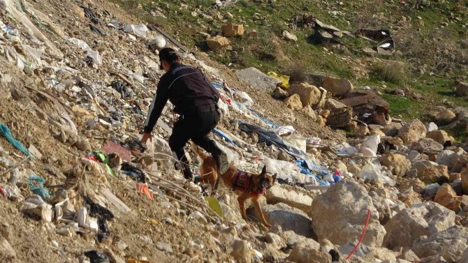 Kayıp Mine Kadavra Köpekleriyle Aranıyor