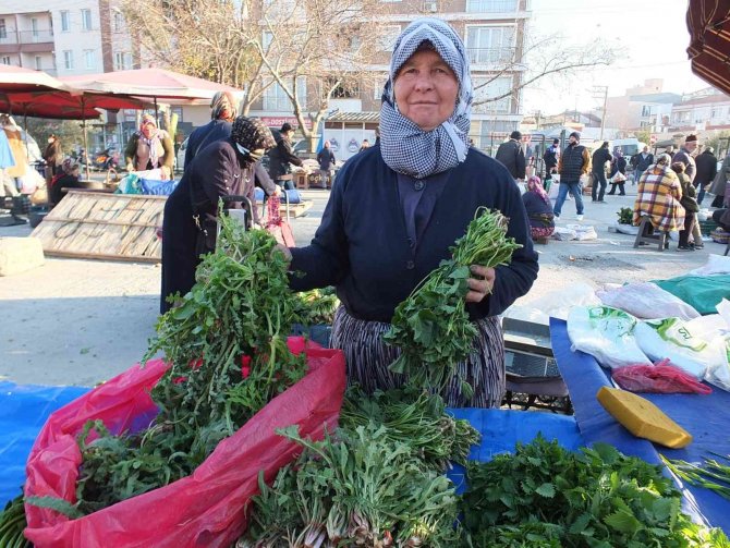 Burhaniye’de Araziden Toplanan Otlar Geçim Kaynağı Oldu