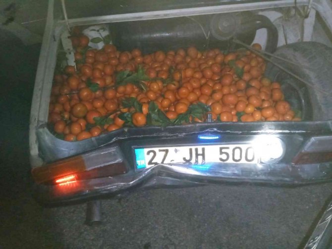 Yakalanacaklarını Anlayınca Narenciyelerle Dolu Araçlarını Bırakıp Kaçtılar