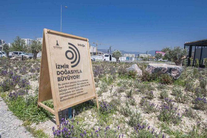 İ̇zmir’e Bir Yılda 10 Buca Cezaevi Kadar Yeşil Alan