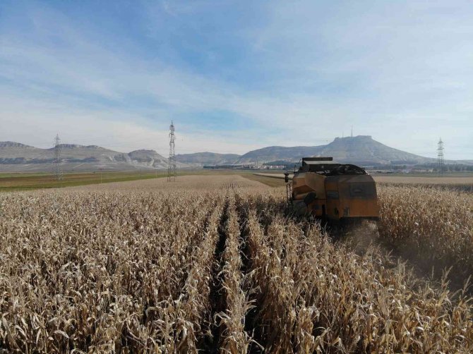 Mardin’de Kuraklık Rekolteyi Yüzde 50 Oranında Düşürebilir