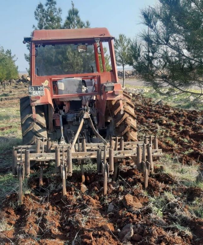 Mesire Alanları Sezona Hazırlanıyor
