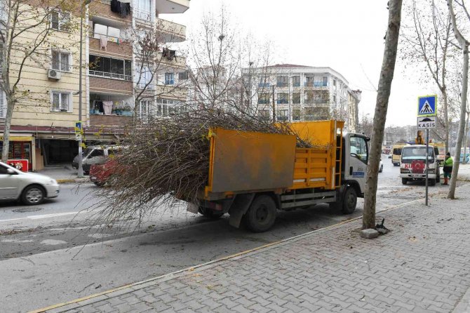 Esenyurt’ta Ağaçlar Kışa Hazırlanıyor