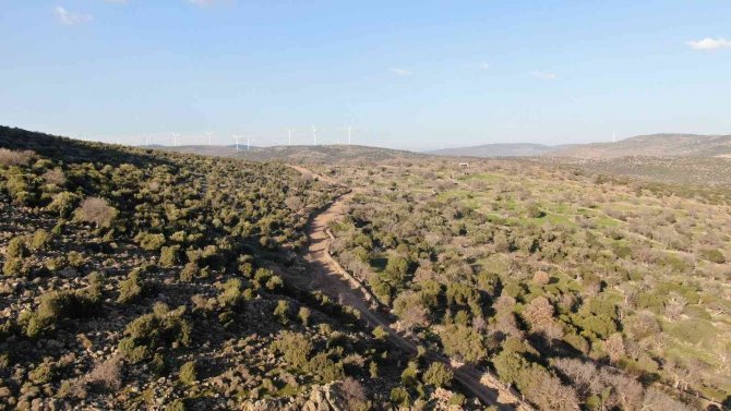 Ova Yollarında Bakım Çalışması Yapılıyor