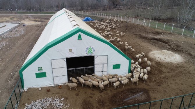 Büyükşehir’den ‘Balıkesir Kuzusu’ Üretimine Destek