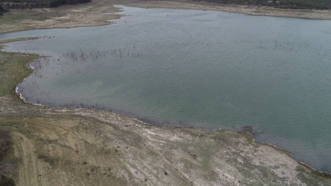 50 Yıldır Böyle Kuraklık Görülmedi: Dipteki Ağaçlar Ortaya Çıktı
