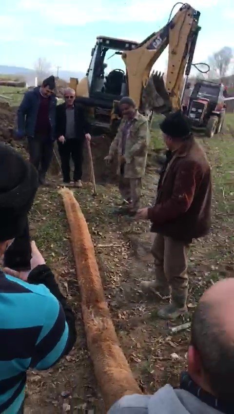 Tıkınan Su Borusundan 6 Metrelik Kök Çıktı, Köylüler Şaşırdı: “Boa Yılanı Geliyor”