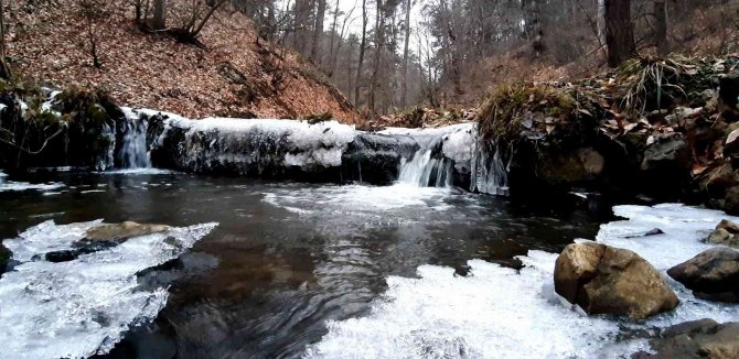 Yaban Ördekleri Soğuk Havaya Rağmen Abant’ı Mesken Tuttu