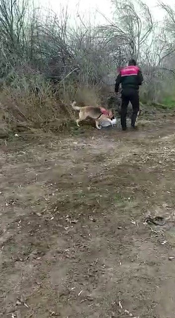 10 Gündür Kayıptı, Elbiseleri Ve Kemik Parçaları Bulundu