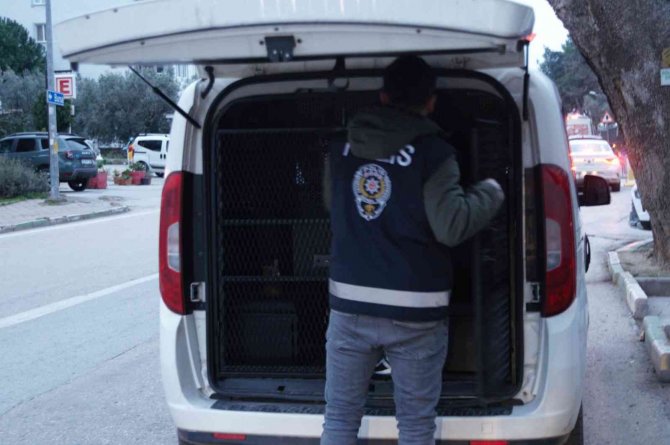 Bursa’da Hırsızlıktan 9 Kişi Tutuklandı