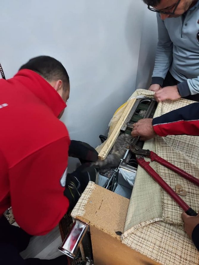 Yaramaz Kedi İtfaiyeyi Seferber Etti