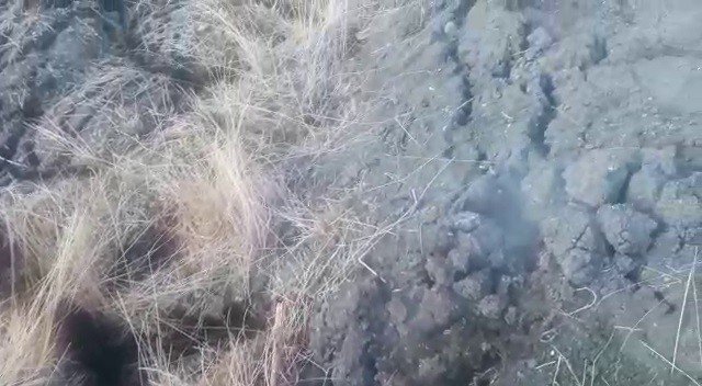 Bu Toprak İçin İçin Yanıyor