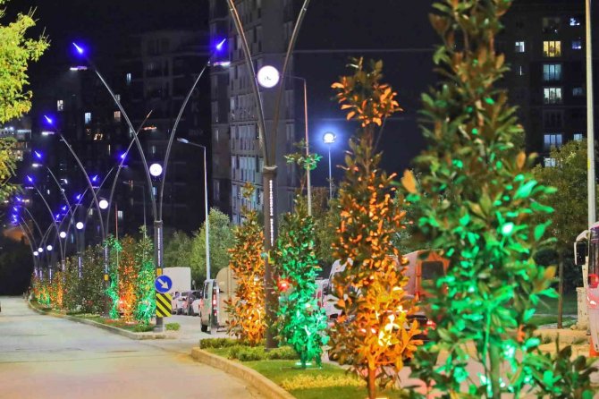 Gaziosmanpaşa Her Mevsim Yeşil