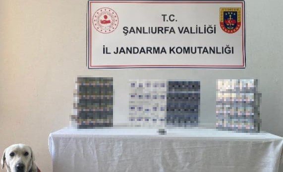 Jandarma Şok Yol Uygulamasında 15 Suçluyu Yakaladı