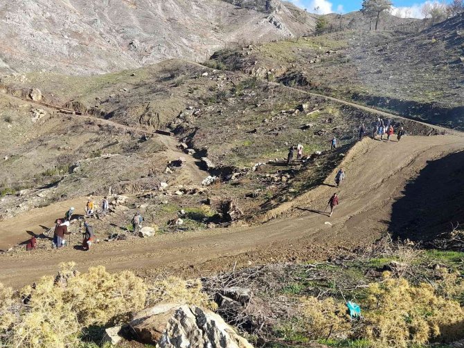 Mhp Köyceğiz İ̇lçe Teşkilatı Kızılçam Tohumu Ekim Faaliyetine Katıldı