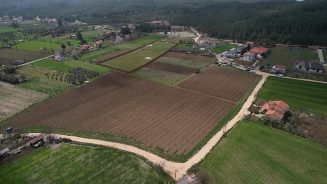 Büyükşehir’den Tarım Ve Hayvancılığa Destek