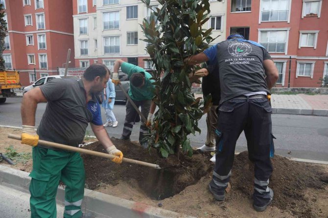Gaziosmanpaşa Her Mevsim Yeşil