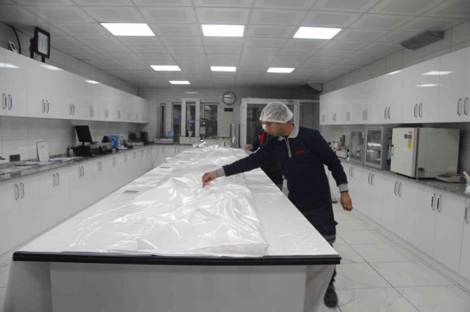 Deniz Yosunlarından Ambalaj Üretildi